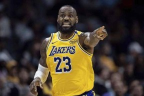 bet365线上投注-詹姆斯迎来十五赛季高光表现，德国队球迷沸腾！的简单介绍-bet365线上投注